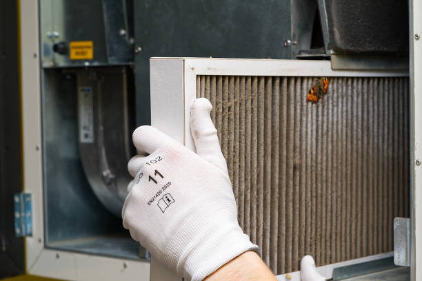 Best Affordable Air Duct Cleaning  in London, CA